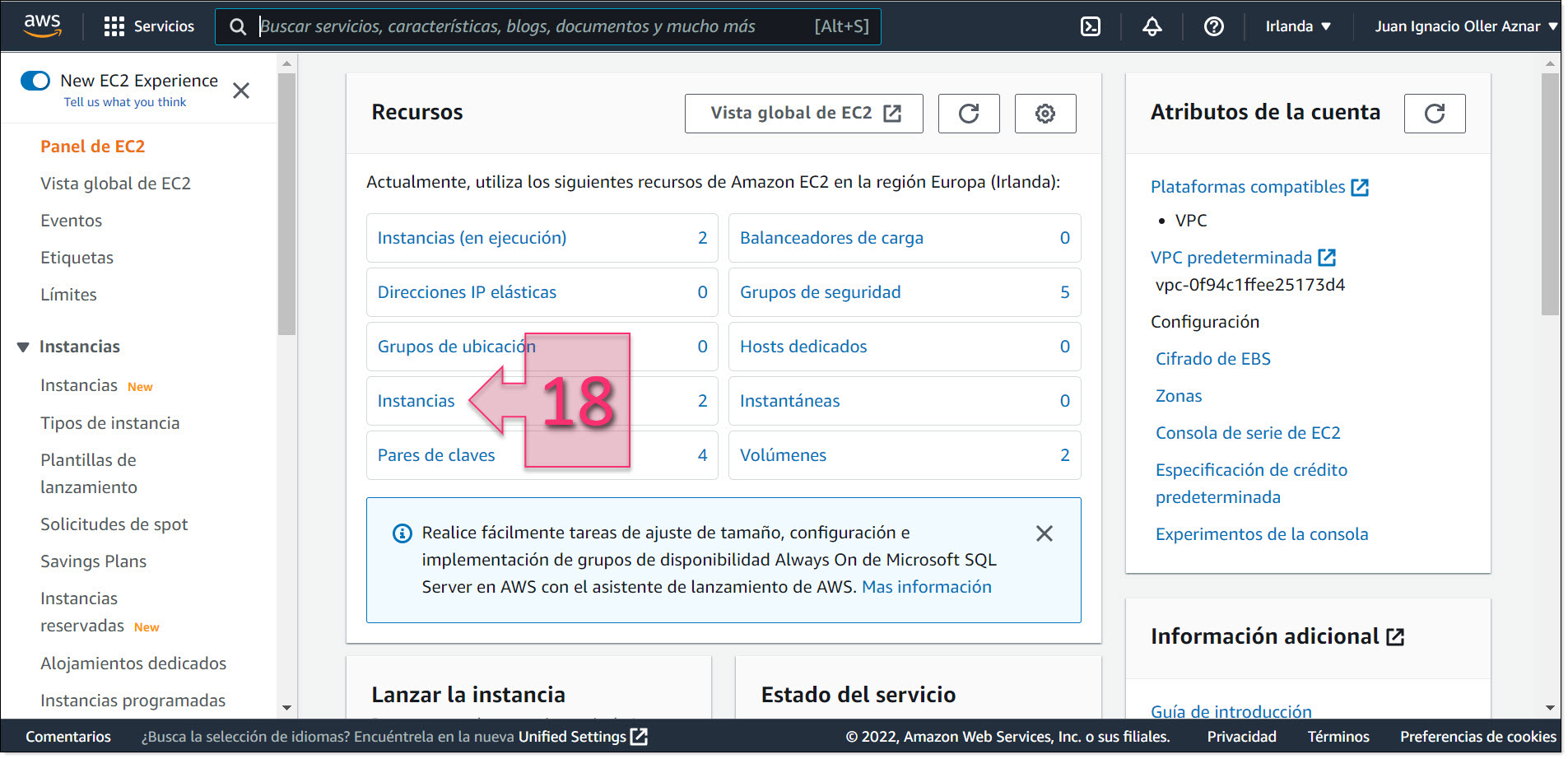 Part 3 - The Instances page on AWS