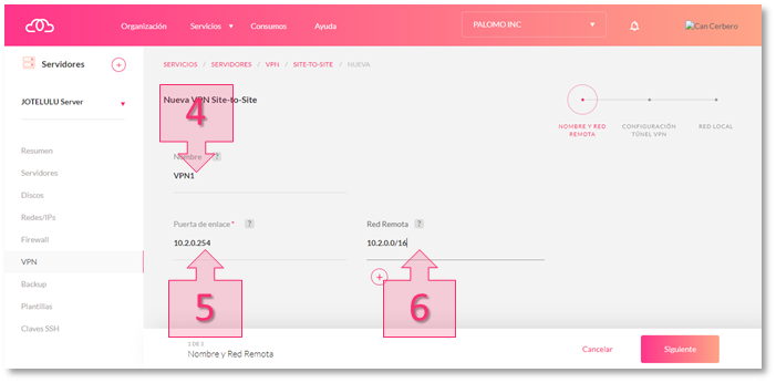 Step 3. Name the VPN and configure the remote network