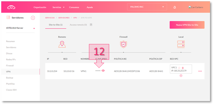 Step 5. Record and save the IPSec key