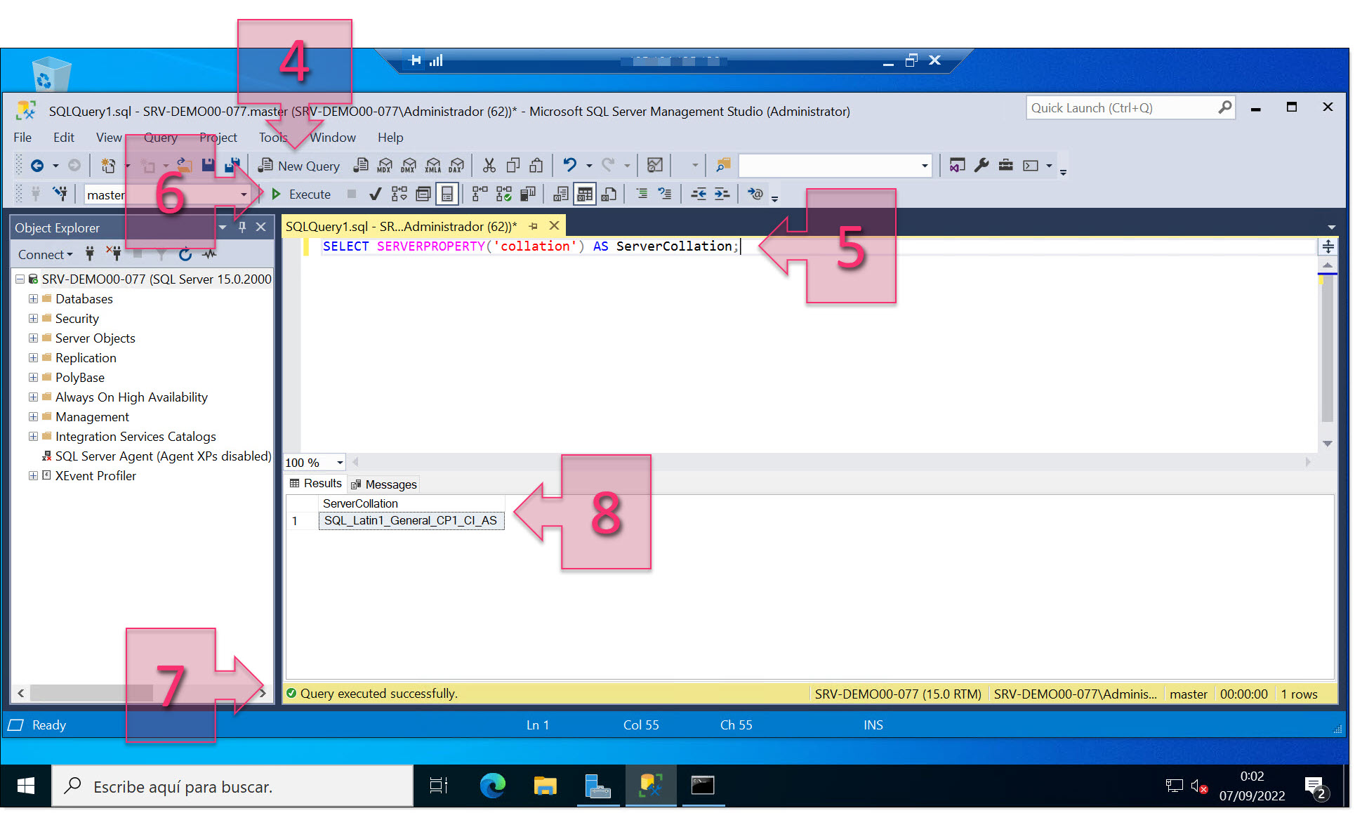 Check the SQL collation value using an SQL query