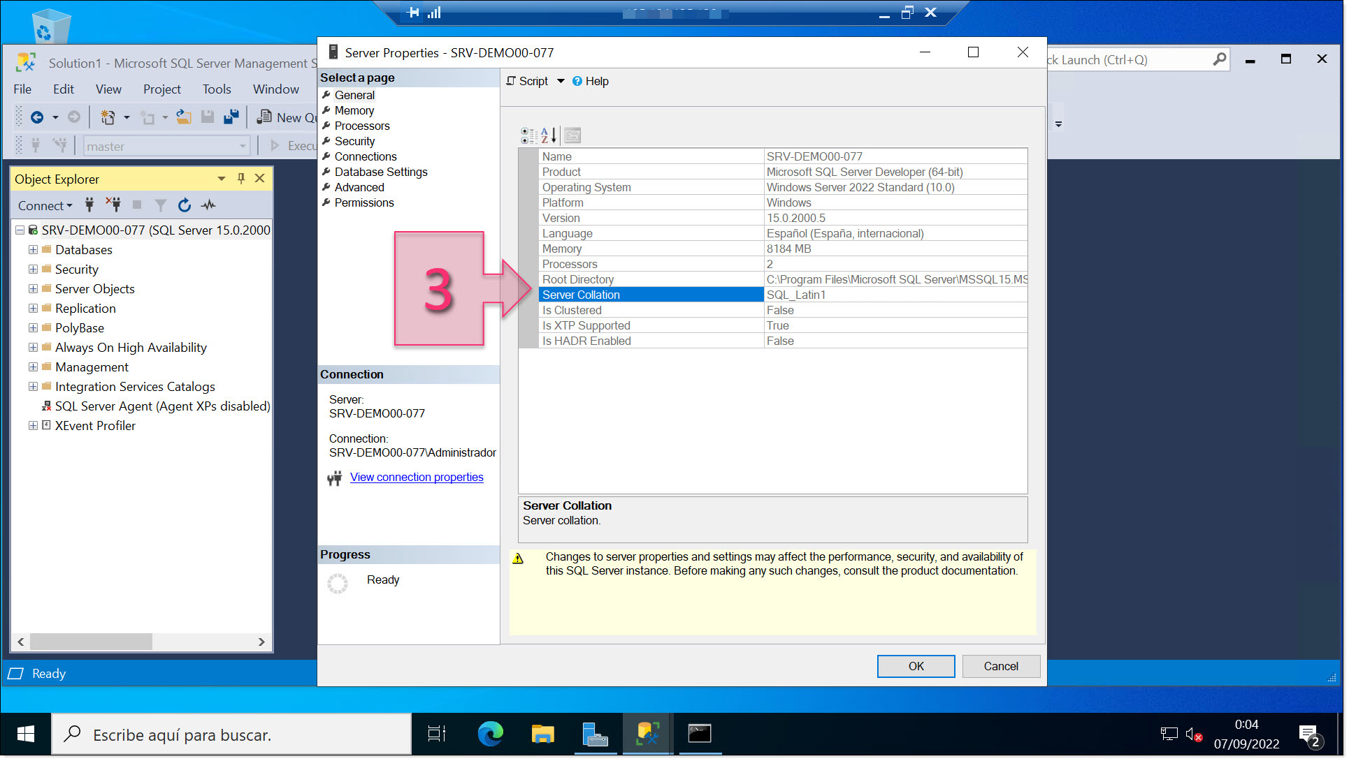 Check the server collation value