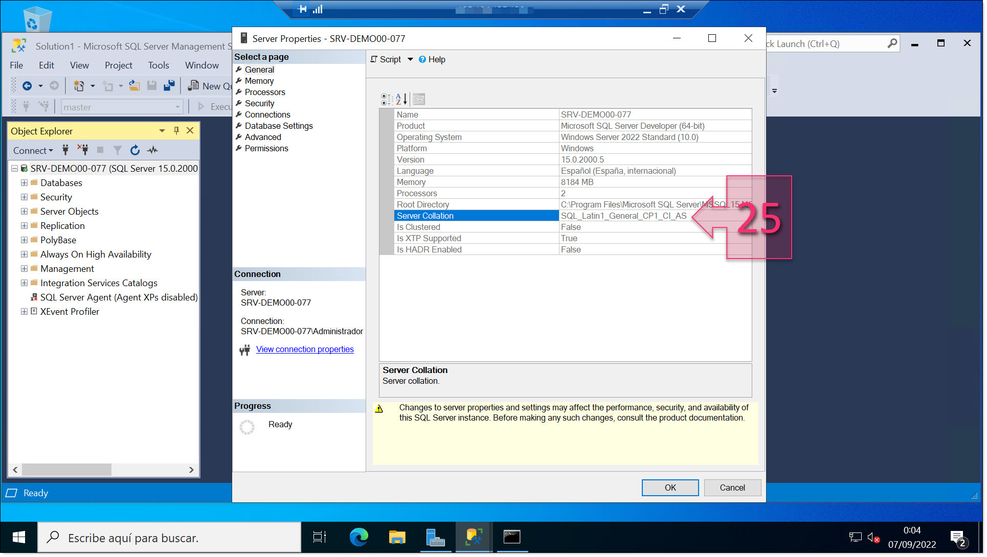 Check that the SQL Collation value has been changed successfully