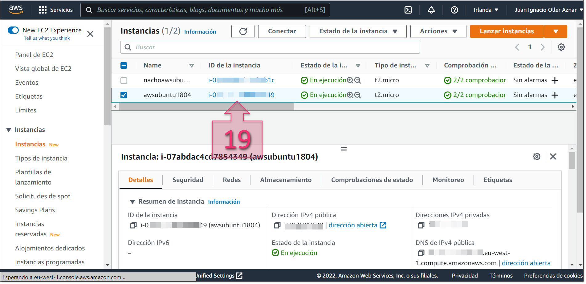 Part 3 - Copy the Instance ID for the instance you wish to migrate