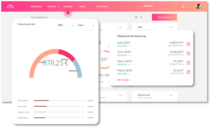 Use the Usage section to see your business’ spending and invoices
