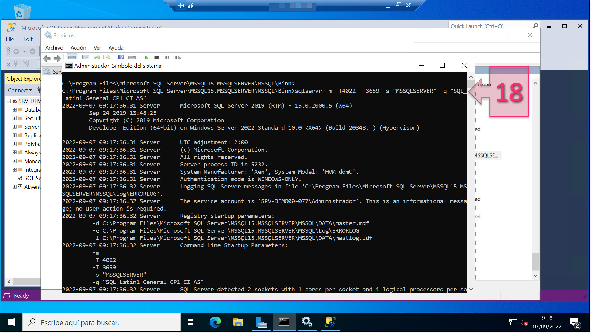 Use command prompt to change the SQL collation value