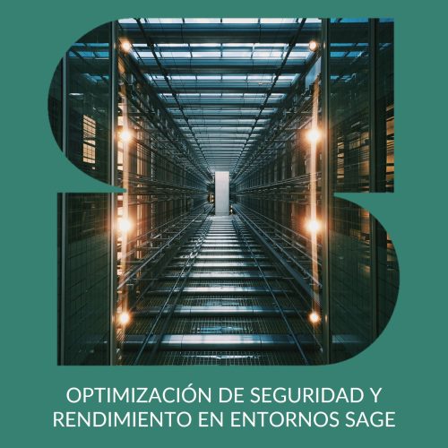 Optimización de seguridad y rendimiento en entornos Sage JOTELULU